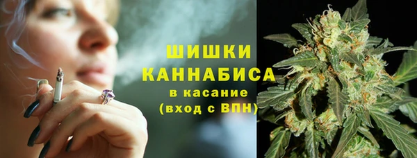 сатива Лабытнанги