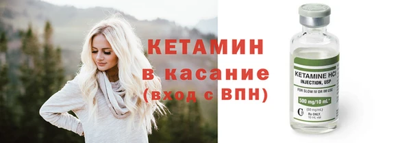 сатива Лабытнанги