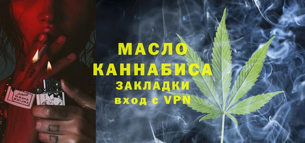 сатива Лабытнанги
